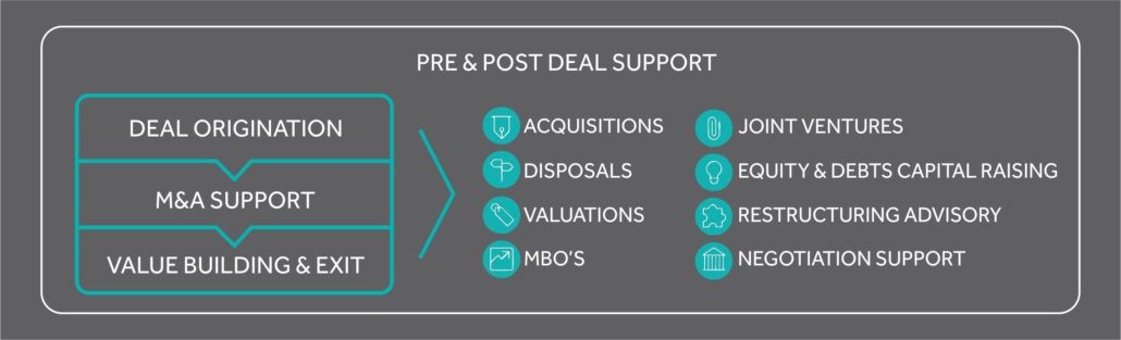 Pre and Post Deal Support Consulting and Advisory